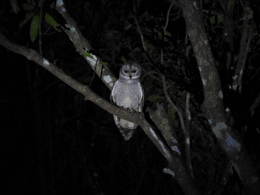 Birdwatching in Kochi - Booking Details and Policies