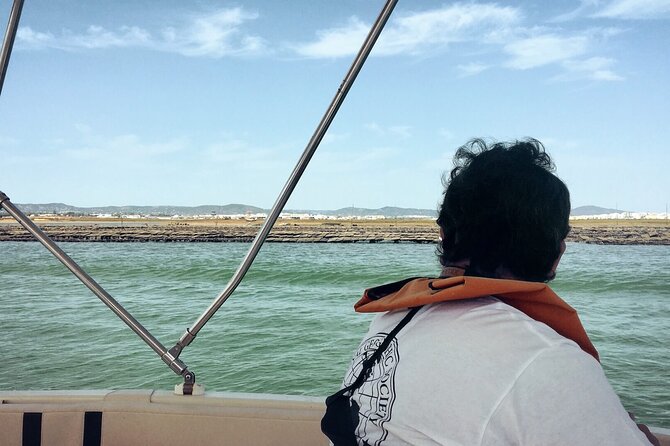 Birdwatching in Ria Formosa - Eco Boat Tour From Faro - Customer Feedback
