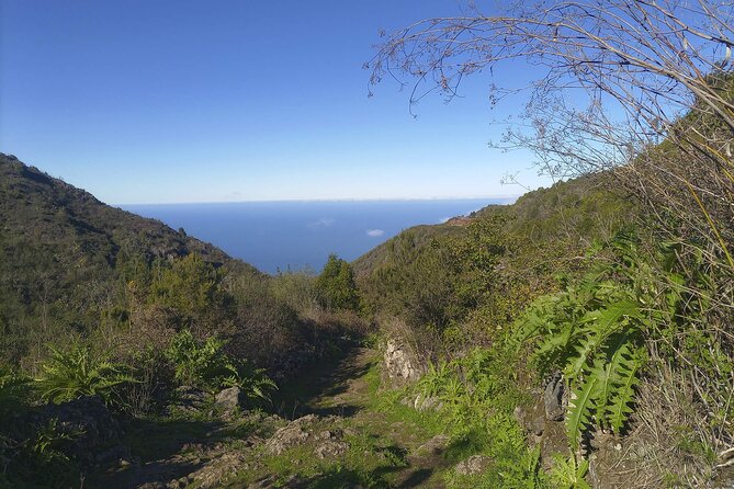 Black Caves, Jungles, Waterfalls - Visit the Secret Tenerife ! - Chasing Waterfalls in Tenerife