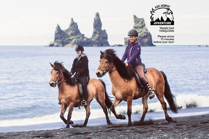 Black Sand Beach Horse Riding Tour From Vik - Location Details