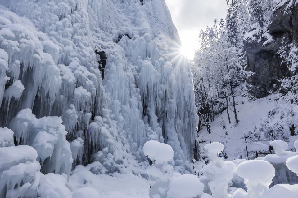 Bled Ice Climbing Experience - Booking Information