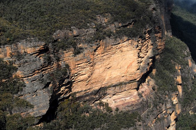 Blue Mountains Highlights & Featherdale Wildlife Park - Scenic Views and Lookouts