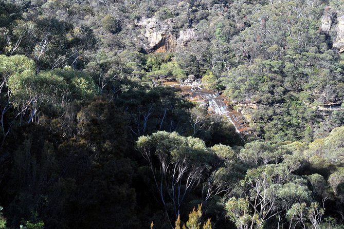 Blue Mountains Tour - Highlights - Bushwalking and Nature Trails