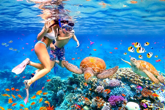 [Blue Ocean Snorkeling] Waikiki Turtle Canyon Snorkeling 6 in 1 - Customer Reviews