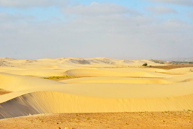 Boa Vista Island: Half-day Northern Tour Viana Desert Adventure - Itinerary Highlights