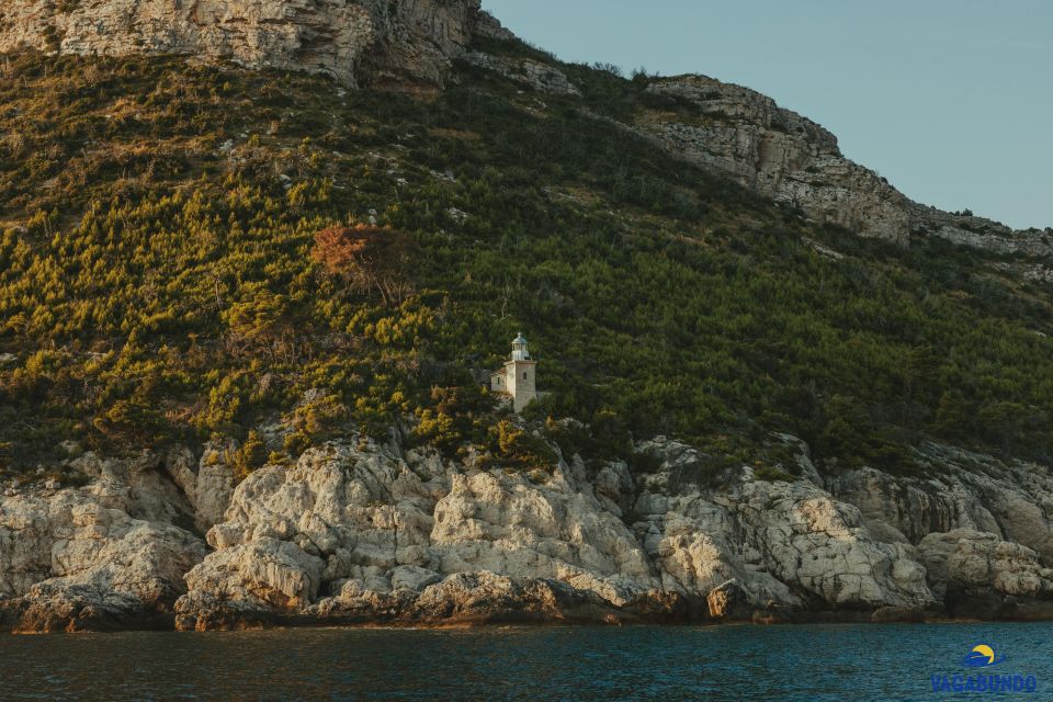 Boat Tour From Ston to Mljet National Park - Tour Experience and Highlights