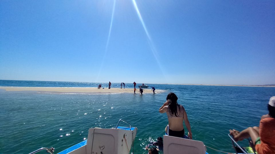 Boat Tour in Ria Formosa 3H - Experience Highlights