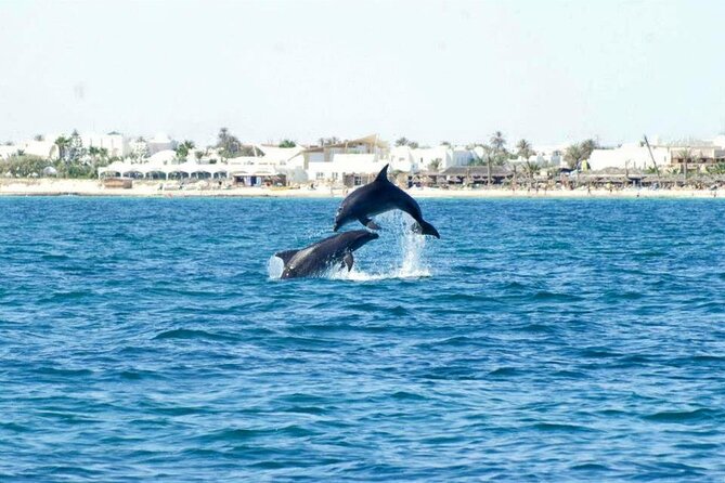 Boat Trip Discovered the Ille El Bibane - Booking Details