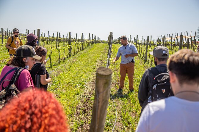 Bodega Gamboa Premium Wine Tasting With Lunch - Inclusions