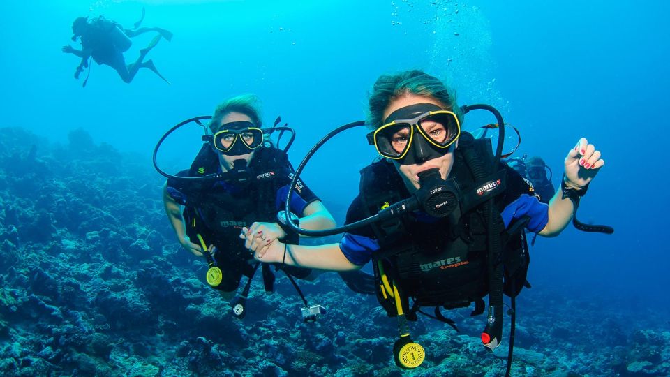 Bodrum: Full-Day Scuba Diving Tour - Experience Highlights
