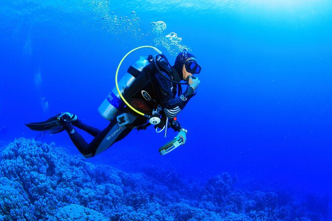 Bodrum Scuba Diving Tour With Free Hotel Transfer By Locals - Traveler Health and Fitness Guidelines