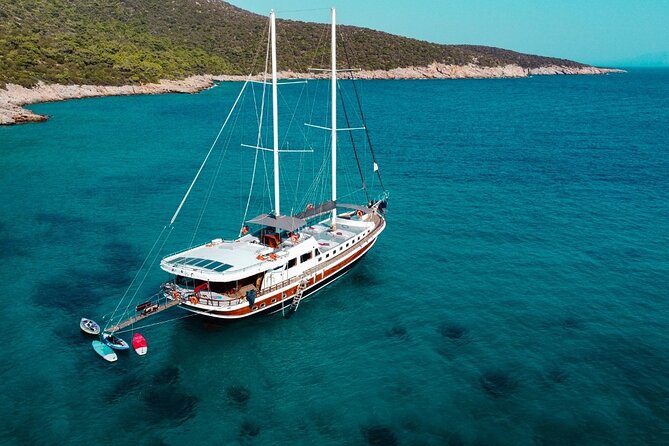 Bodrum Vip Private Gulet Tour - Gulet Description