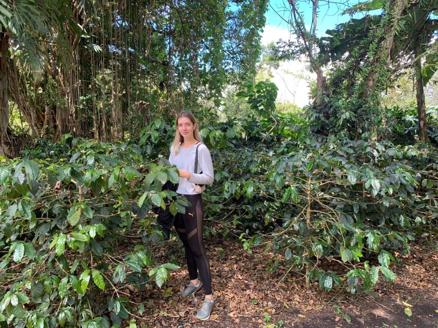 Bogotá: Guided 5-Hour Coffee Farm Tour - Reservation and Tour Guide Information