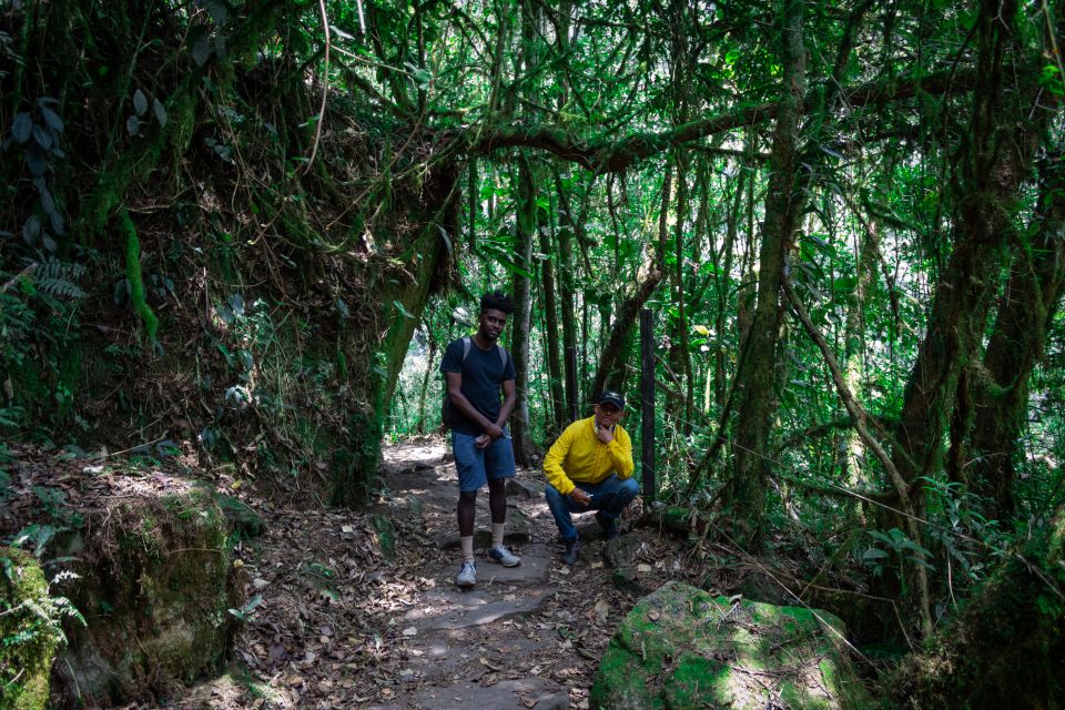 Bogotá: La Chorrera Waterfall Guided Hike - Activity Highlights