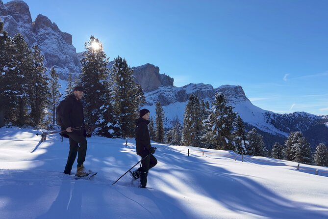 Bolzano Dolomites: Winter Hiking & Sledding Experience - Guided Snowshoeing Adventure