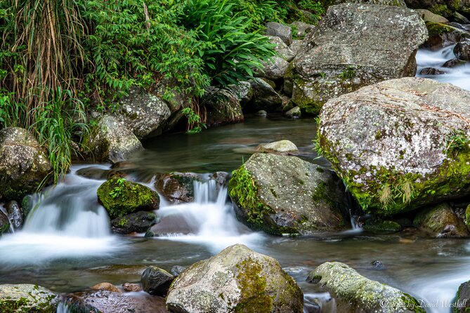 Boquete Panoramic Tour - Tour Inclusions