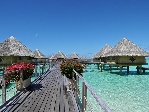 Bora Bora 4WD Tour & Eco Shark & Ray Snorkel Cruise - Tour Experience and Highlights