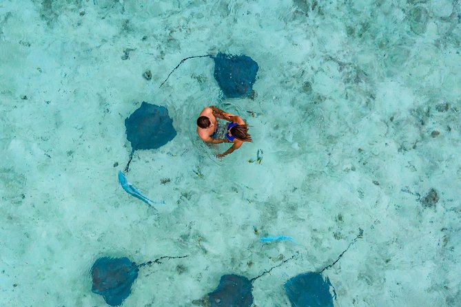 Bora Bora Eco Snorkel Cruise Including Snorkeling With Sharks and Stingrays - Guided Snorkeling Tour Details