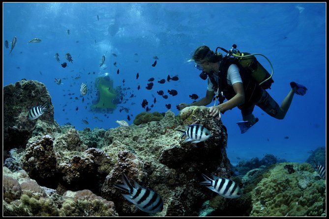 Bora Bora Underwater Scooter - Logistics Information