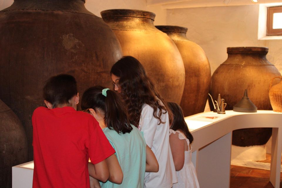 Borba: Winery and Amphora Wine Tour and Tasting - Tour Highlights