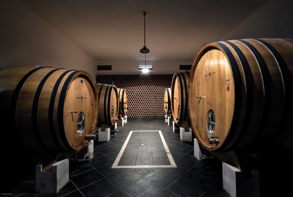 Borba: Winery Tours and Amphora Wine and Snacks Tasting - Experience Highlights