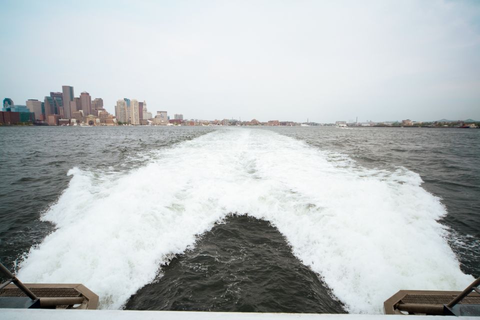 Boston: Whale Watching Catamaran Cruise - Experience Highlights