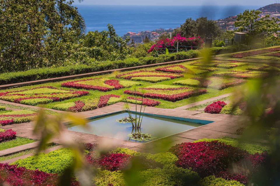 Botanical Garden & Funchal Old Town Private Tuk Tuk Tour - Tour Highlights