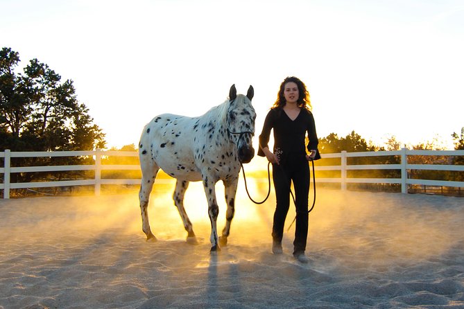 Boulder Equine Discovery Experience - Meeting Point