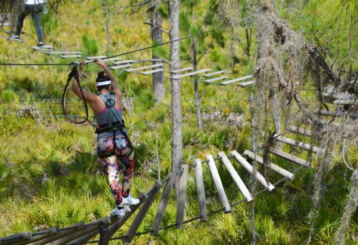 Bradenton: Adventure Course Entry Ticket - Experience Highlights