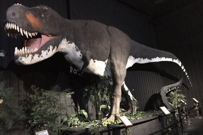 Branson Dinosaur Museum Admission Ticket - Cancellation Policy Details