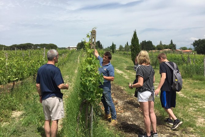 Brunello Di Montalcino, Small Biodynamic Wineries - Wine Tasting From the Barrel