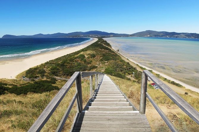 Bruny Island Day Tour Private Charter Service - Booking Information
