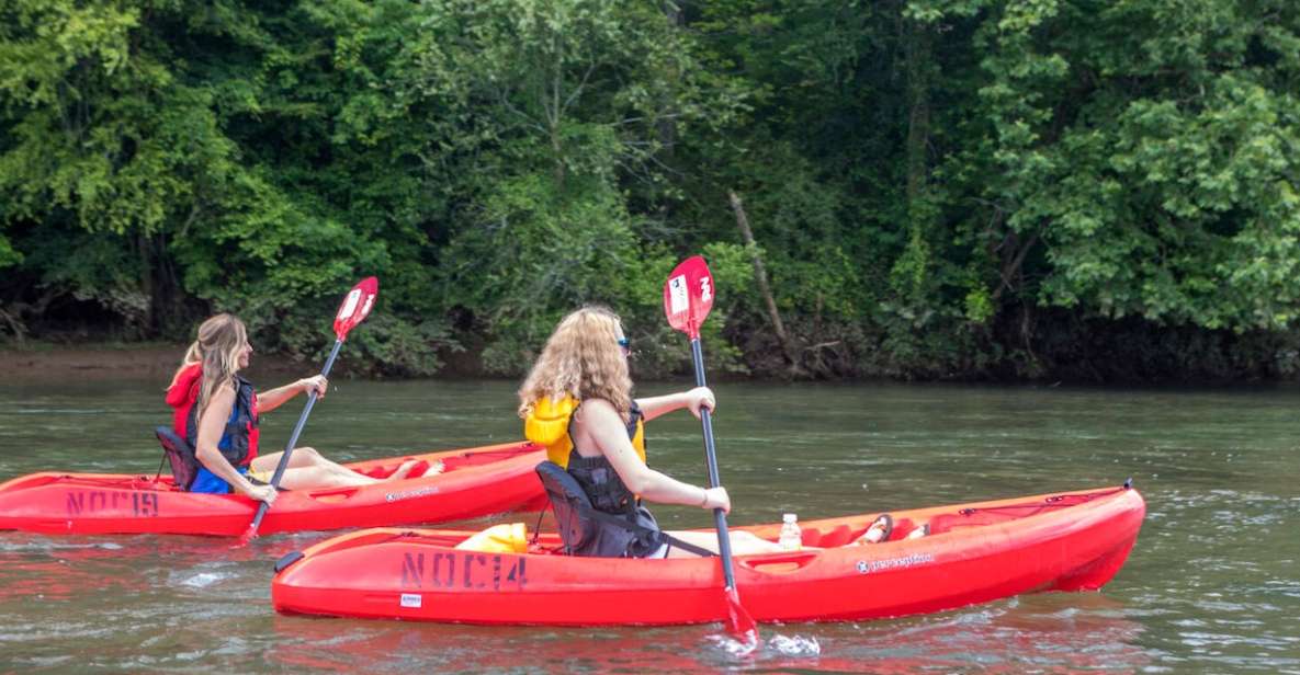 Bryson City: Fontana Lake Guided Kayak Tour - Experience Highlights