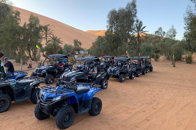 Buggy Adventure Half Day Experience - Booking and Pricing