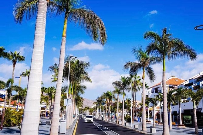 Buggy Tour South Coast of Tenerife With Off-Road - Accessibility and Transportation