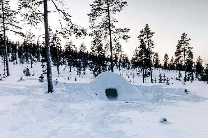 Building a Snow Igloo From Kemi - Tips and Tricks for a Successful Igloo Build