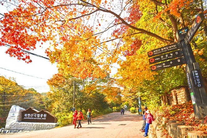 Bukhansan Mountain Hiking Private Tour Including Jjimjilbang & Spa,Korean BBQ - Cancellation and Refund Policies