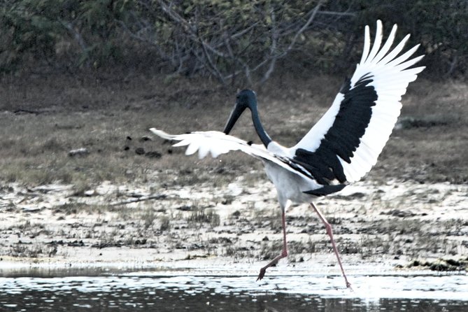 Bundala National Park Small-Group Half-Day Tour  - Yala National Park - Inclusions