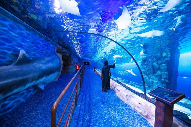 Burj Khalifa, Dubai Aquarium & Underwater Zoo Combo Tickets - Experience Highlights at Attractions