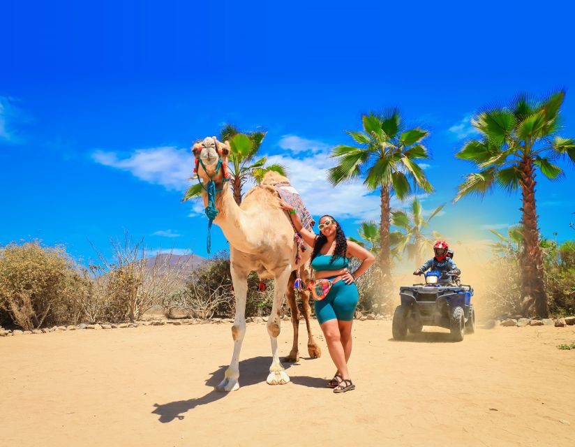 Cabo: ATV, Camel Ride, Mexican Lunch, and Tequila Combo Tour - Activity Schedule