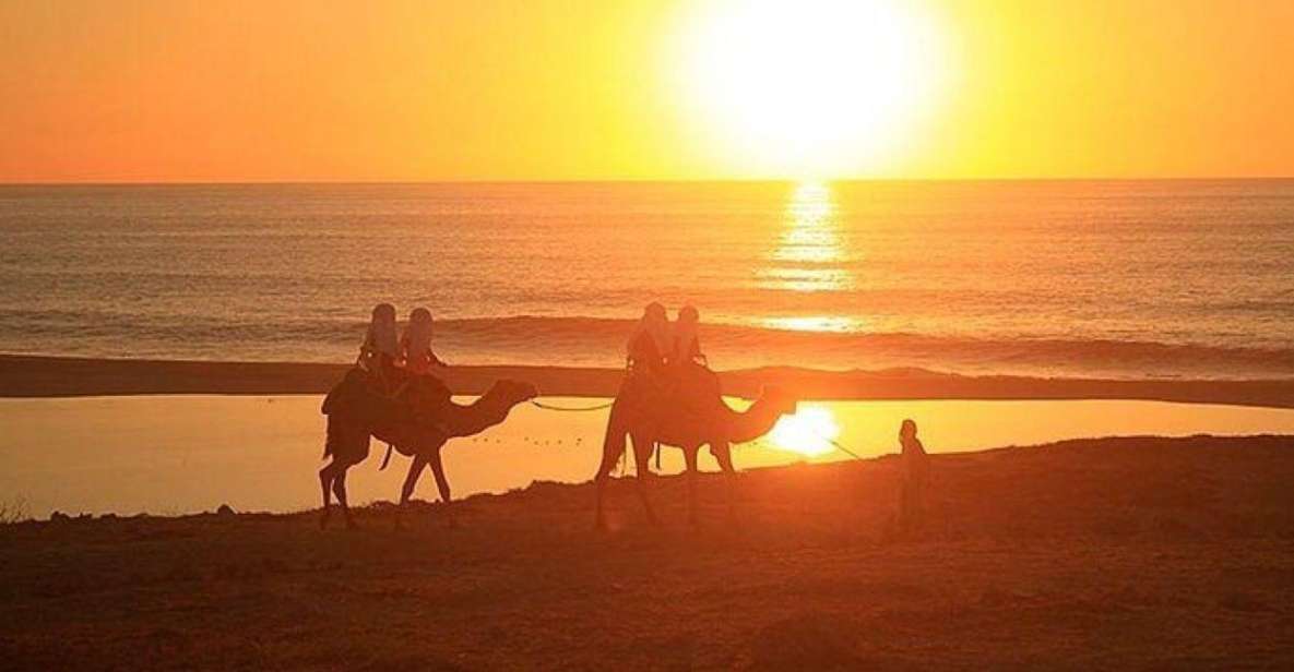 Cabo: Camel Ride On The Beach - Experience Highlights