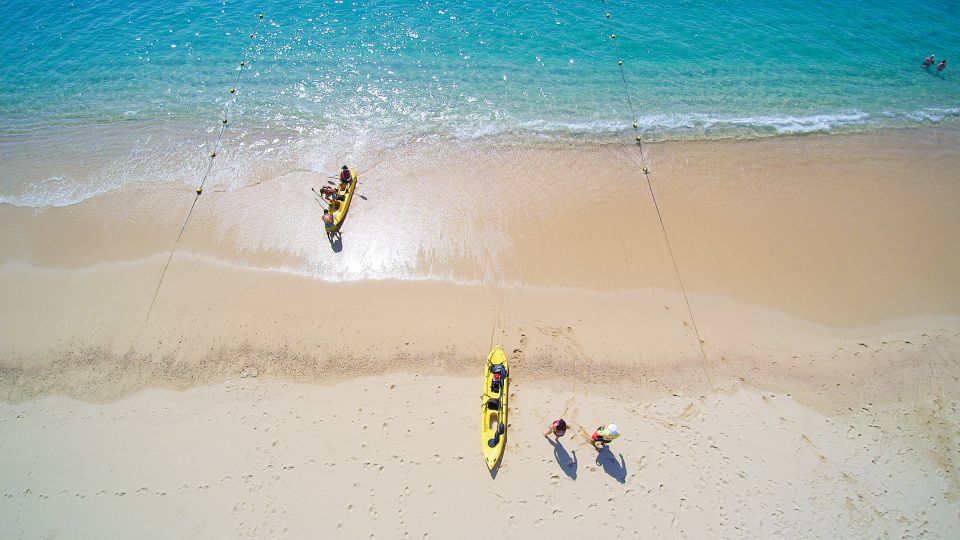 Cabo: Half-Day Kayak & Snorkel to Santa Maria & Chileno Bay - Highlights
