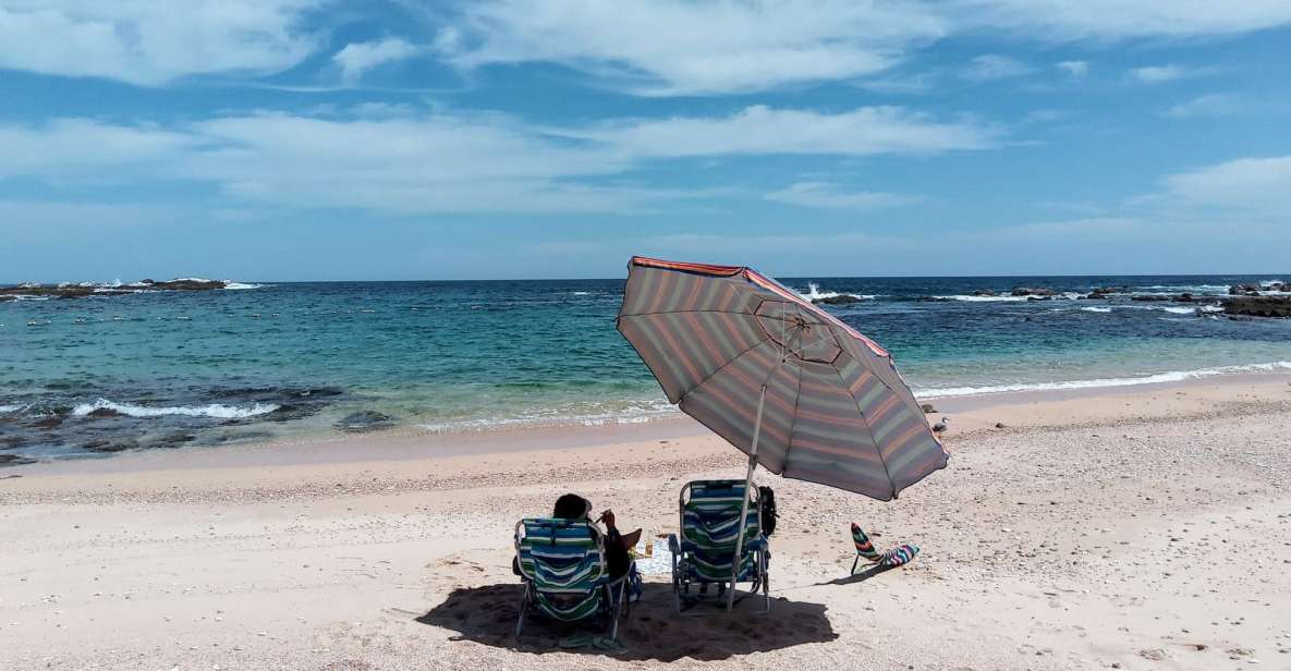 Cabo: Hidden Beach Day With Snorkeling in the Sea of Cortez - Experience Highlights