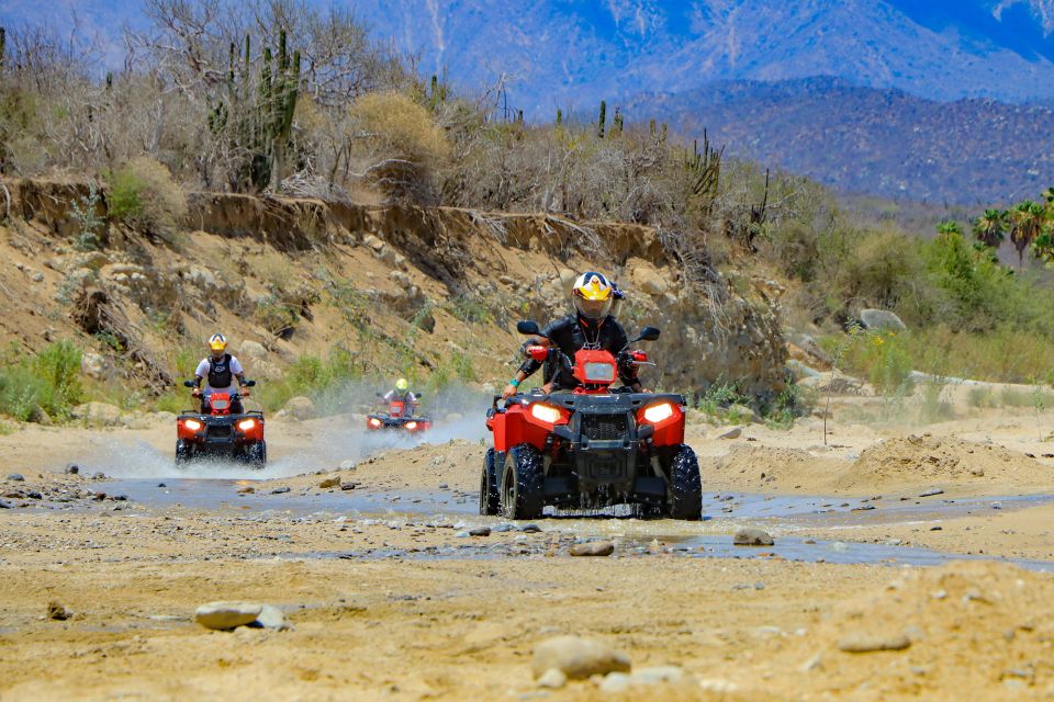Cabo San Lucas: ATV Desert Tour With Mexican Lunch - Experience
