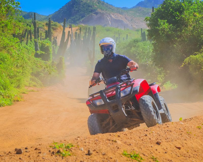 Cabo San Lucas: Beach & Desert ATV Tour With Tequila Tasting - Review Summary of the Tour