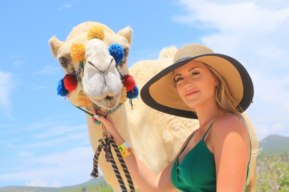 Cabo San Lucas: Camel Safari Tour With Lunch and Tequila - Experience Highlights