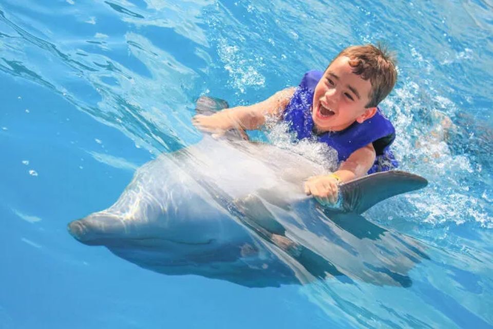 Cabo San Lucas: Dolphin Swim Class With Marine Specialist - Full Description of Experience