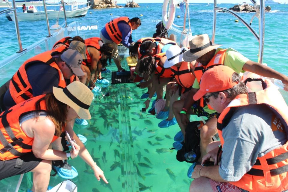 Cabo San Lucas: Glass Bottom Boat Tour to Land's End - Booking Information