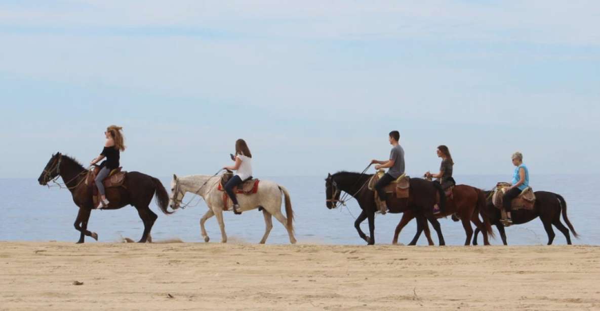 Cabo San Lucas: Horseback Riding Adventure - Full Description