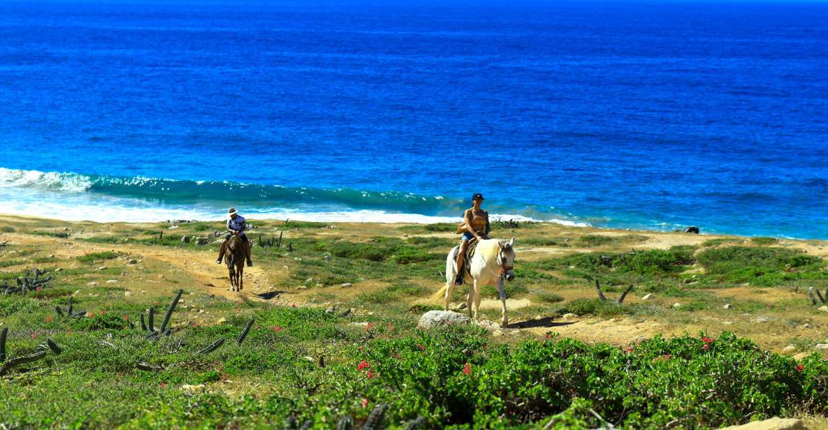 Cabo San Lucas: Horseback Riding Migriño - Inclusions